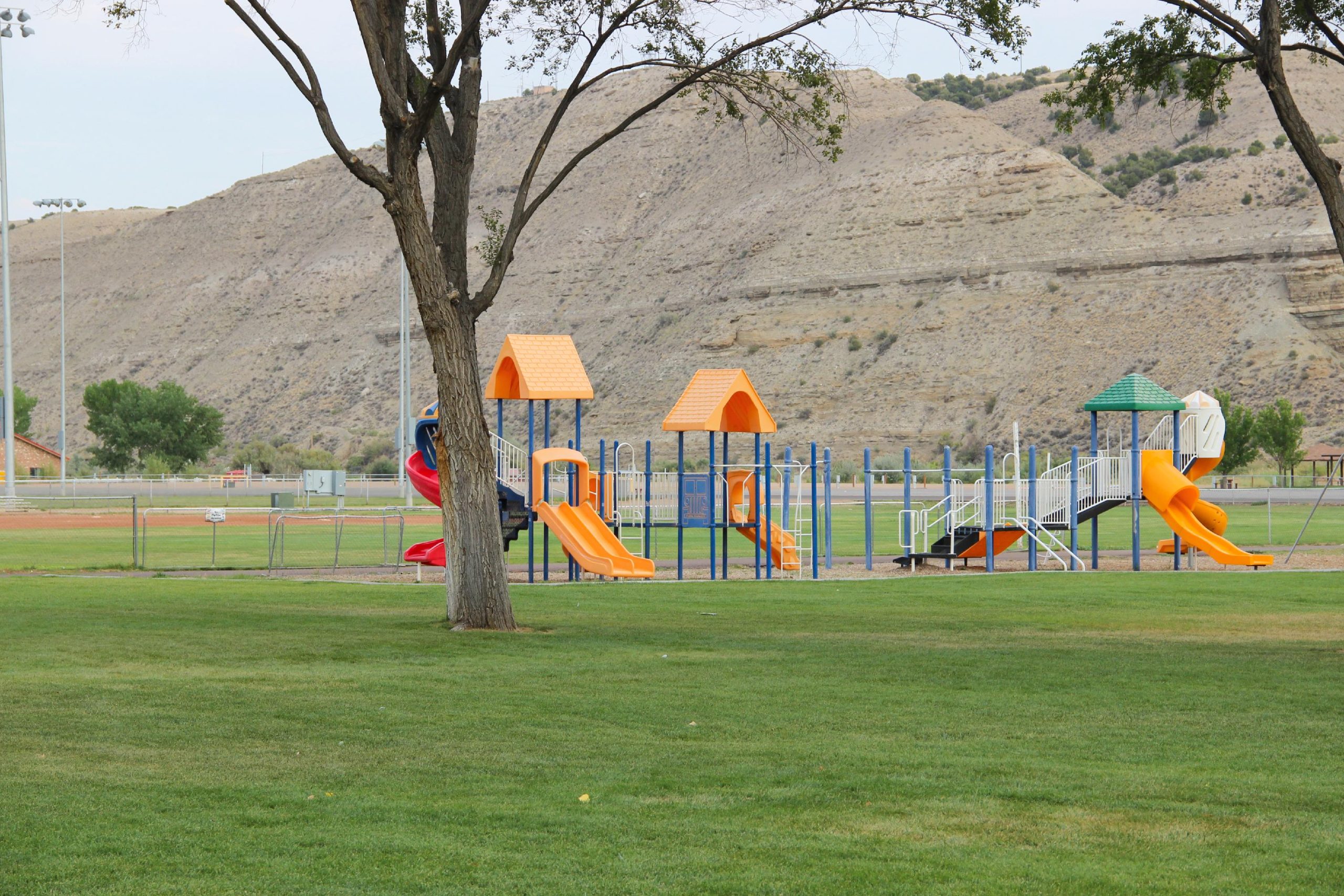 roypark roypark